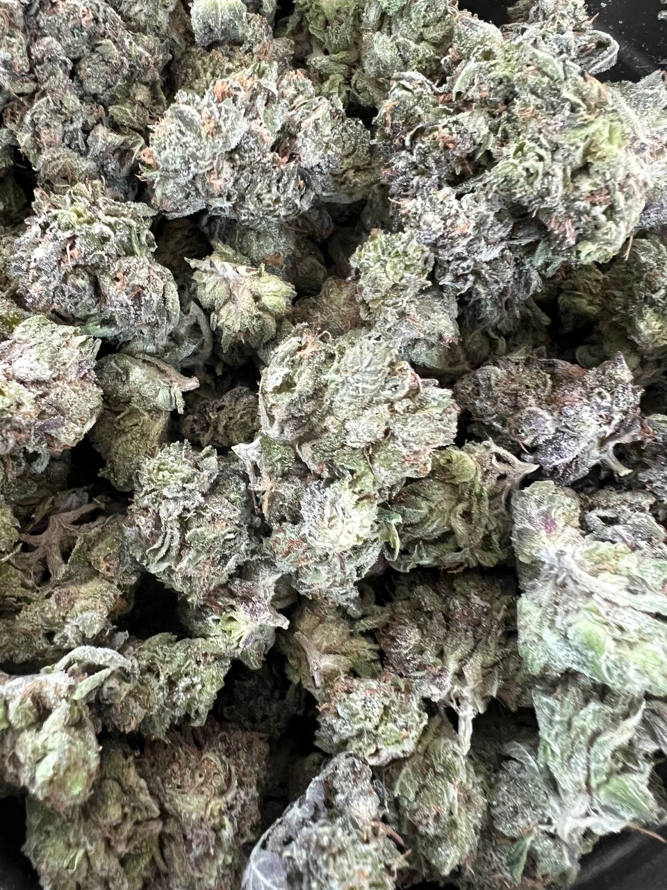 Toronto Cannabis Gasdank