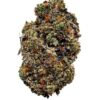 Pink Miami – Indica