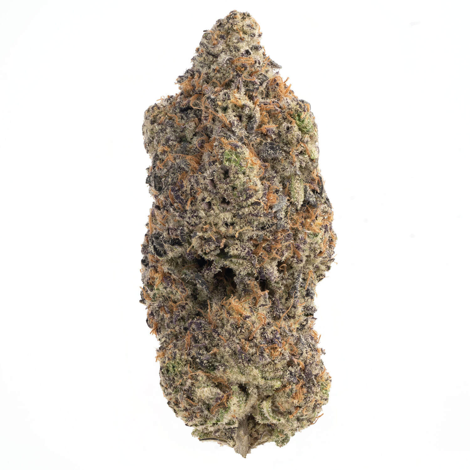 Toronto Cannabis Gasdank
