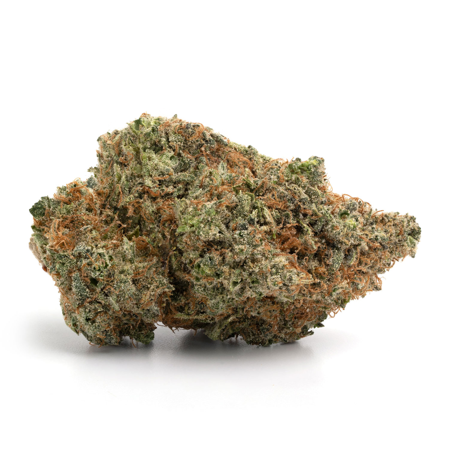 Toronto Cannabis Gasdank