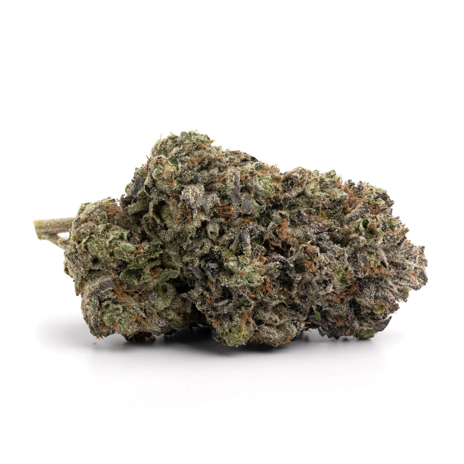Toronto Cannabis Gasdank