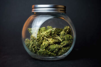 Can weed go bad