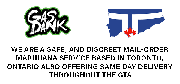 Header email