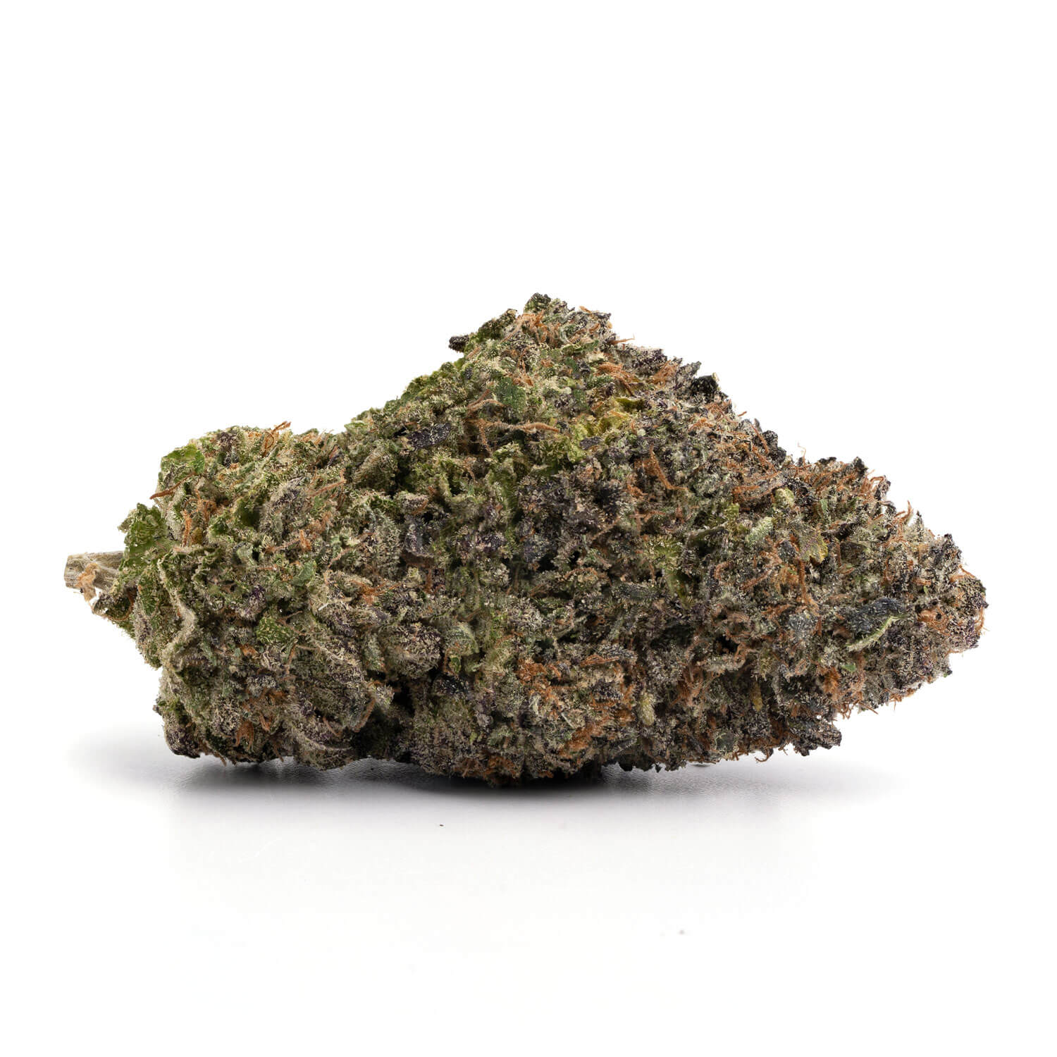 Toronto Cannabis Gasdank