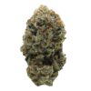 STRAWBERRY AMNESIA 2 410x492 (1)