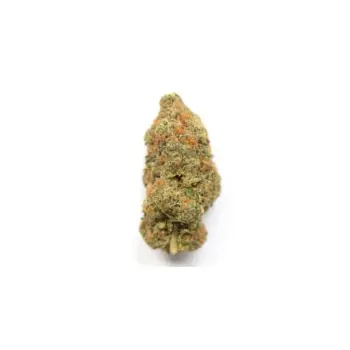 ak48
