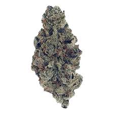 gorilla glue