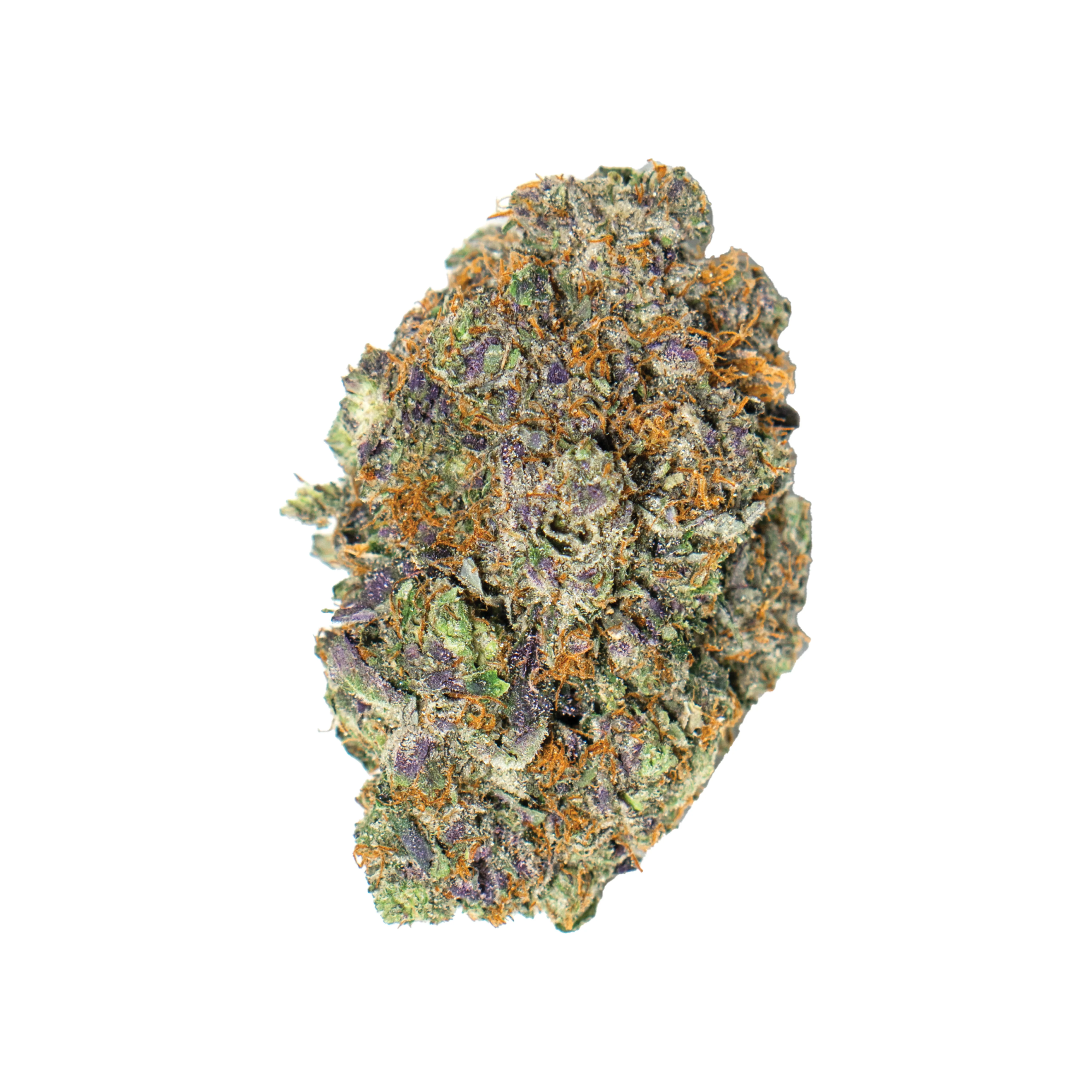 Toronto Cannabis Gasdank