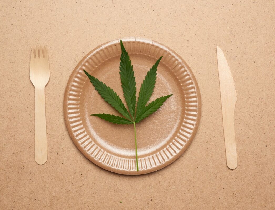 Does Sativa Make You Hungry? Appetite Stimulation and Sativa Strains