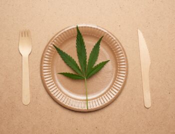 Does sativa make you hungry