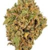 gelato sherb
