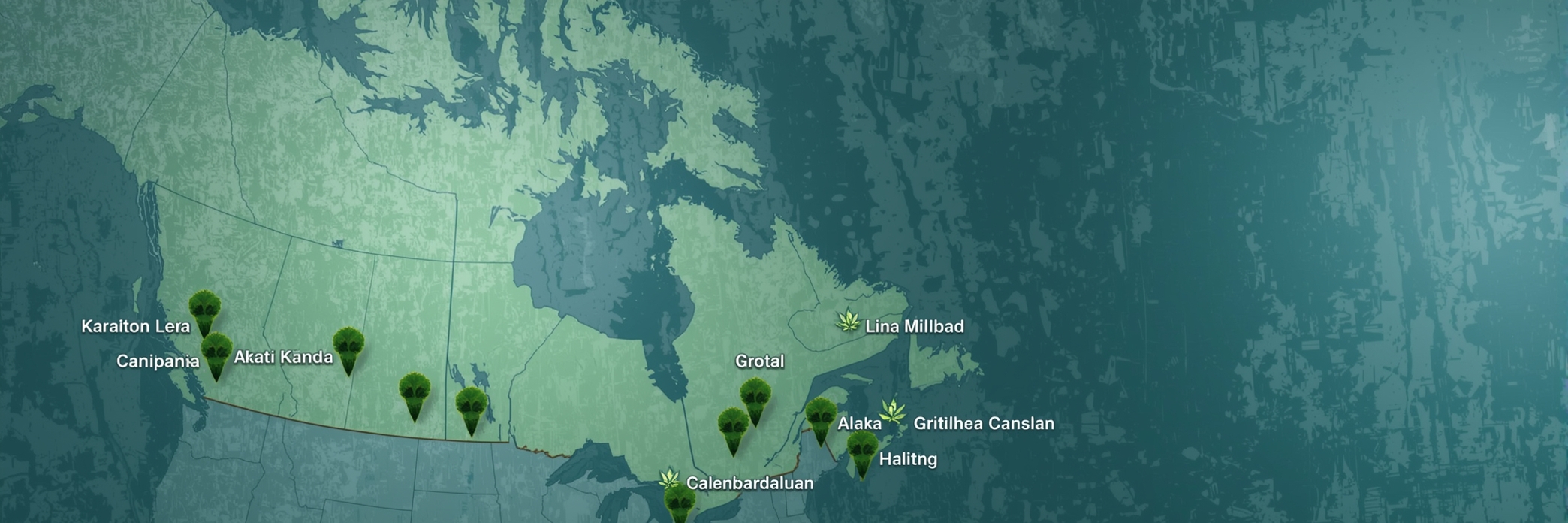 Toronto Cannabis Gasdank
