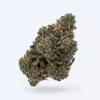 Blueberry Yum Yum — Sativa