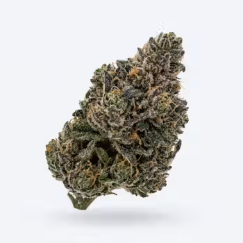 Blueberry Yum Yum
