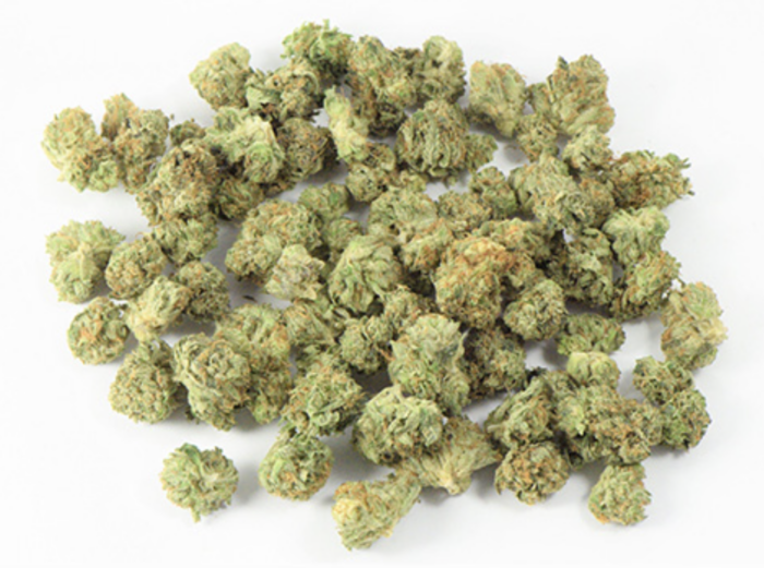 Gelato Smalls Gelato Smalls