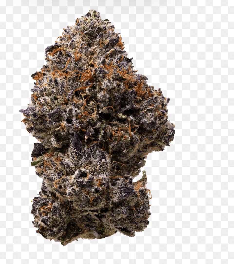 Cap Junky Strain Review: A Potent Modern Hybrid