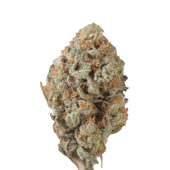 Tangie