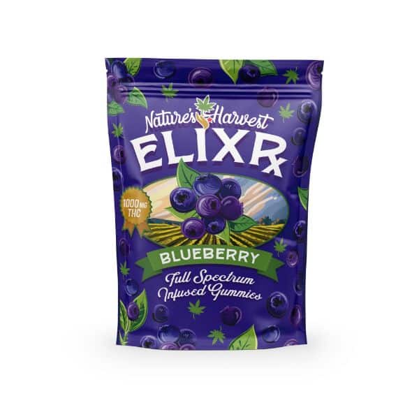 Nature Harvest Chocolate Bites - Blueberry